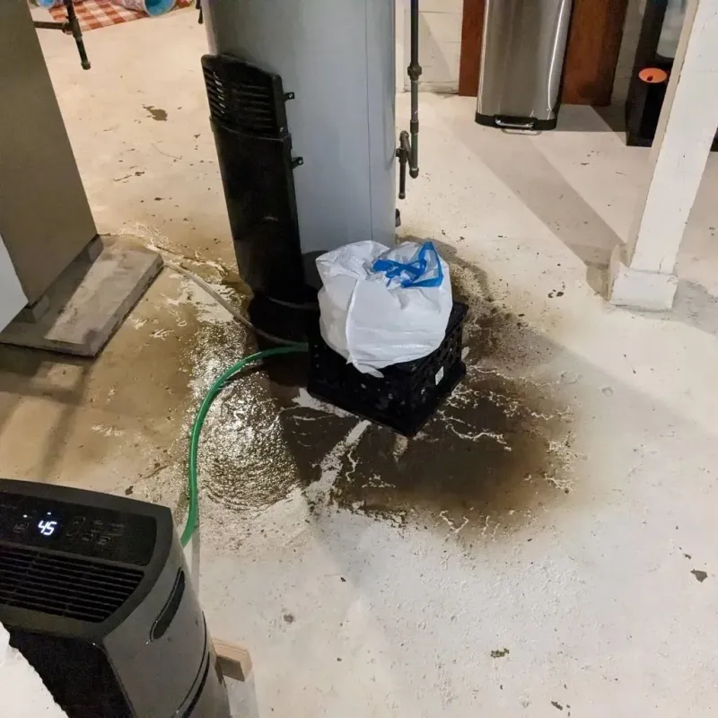 Sewage Backup Cleanup Service in Vernon County, MO